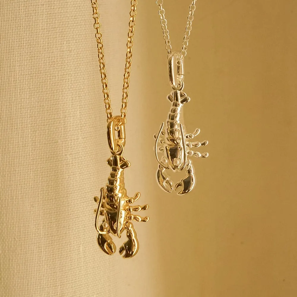 Lobster Chain Necklace 18ct Gold Plate sold by Daisy Jewellery product image thumbnail 5