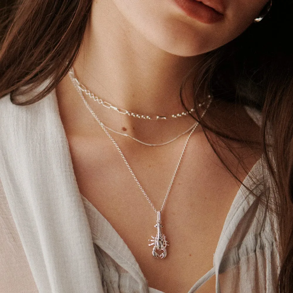 Lobster Chain Necklace Sterling Silver sold by Daisy Jewellery product image thumbnail 4