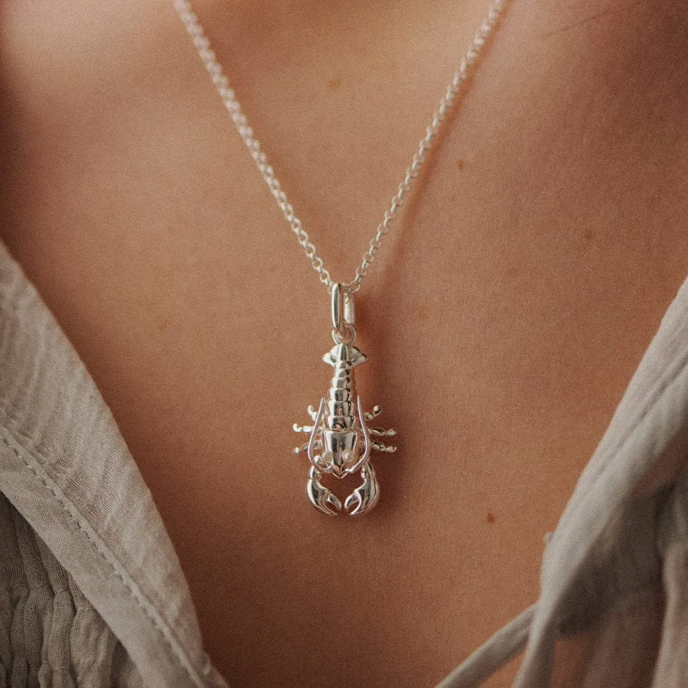 Lobster Chain Necklace Sterling Silver sold by Daisy Jewellery product image thumbnail 2