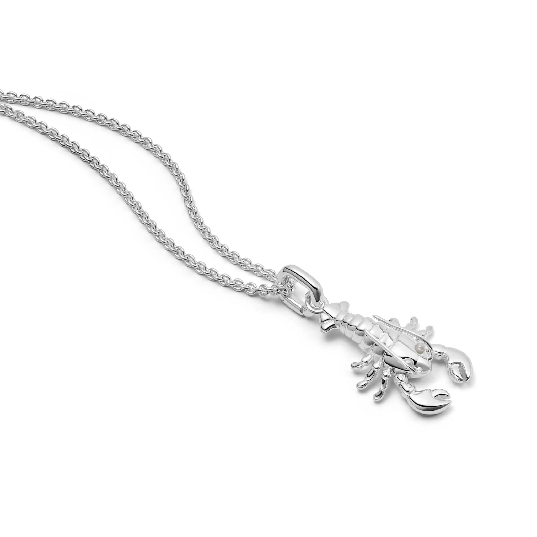 Lobster Chain Necklace Sterling Silver sold by Daisy Jewellery