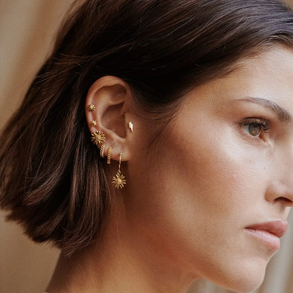 FREE Marguerite Daisy Stud Earrings 18ct Gold Plate sold by Daisy Jewellery product image thumbnail 4