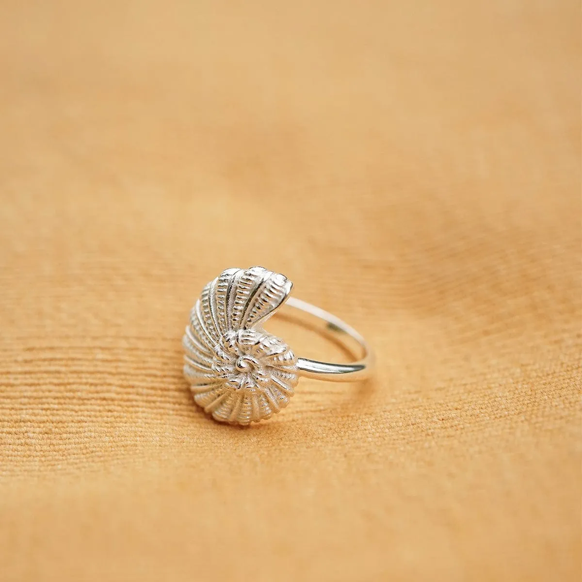 Polly Sayer Shell Ring Silver Plate sold by Daisy Jewellery product image thumbnail 3