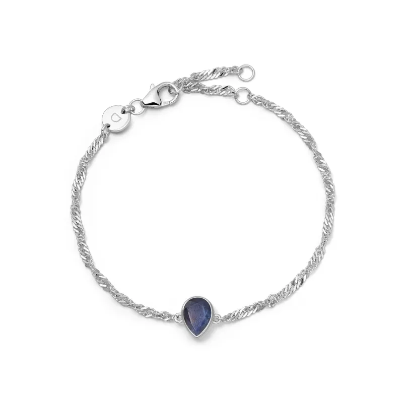 Sapphire September Birthstone Charm Bracelet Sterling Silver sold by Daisy Jewellery