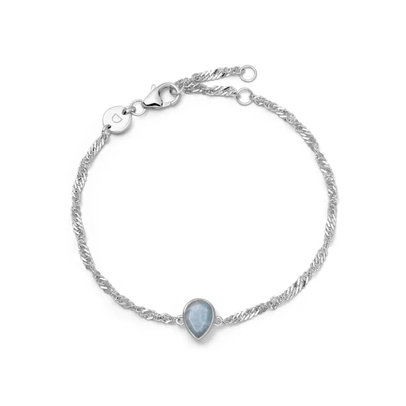 Aquamarine March Birthstone Charm Bracelet Sterling Silver sold by Daisy Jewellery
