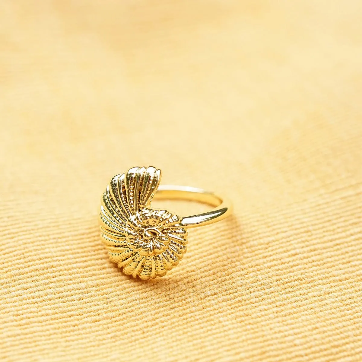 Polly Shell Ring 18ct Gold Plate sold by Daisy Jewellery product image thumbnail 3