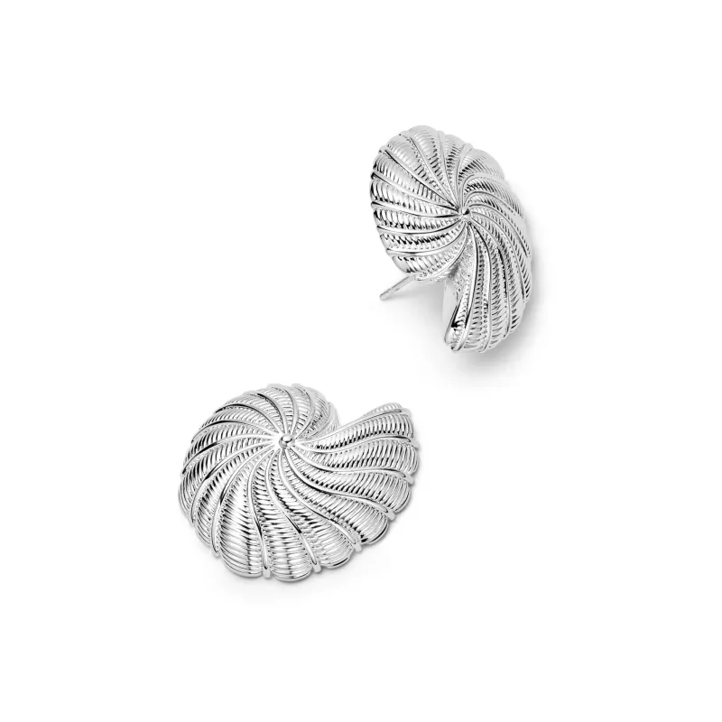 Polly Oversized Shell Stud Earrings Silver Plate sold by Daisy Jewellery