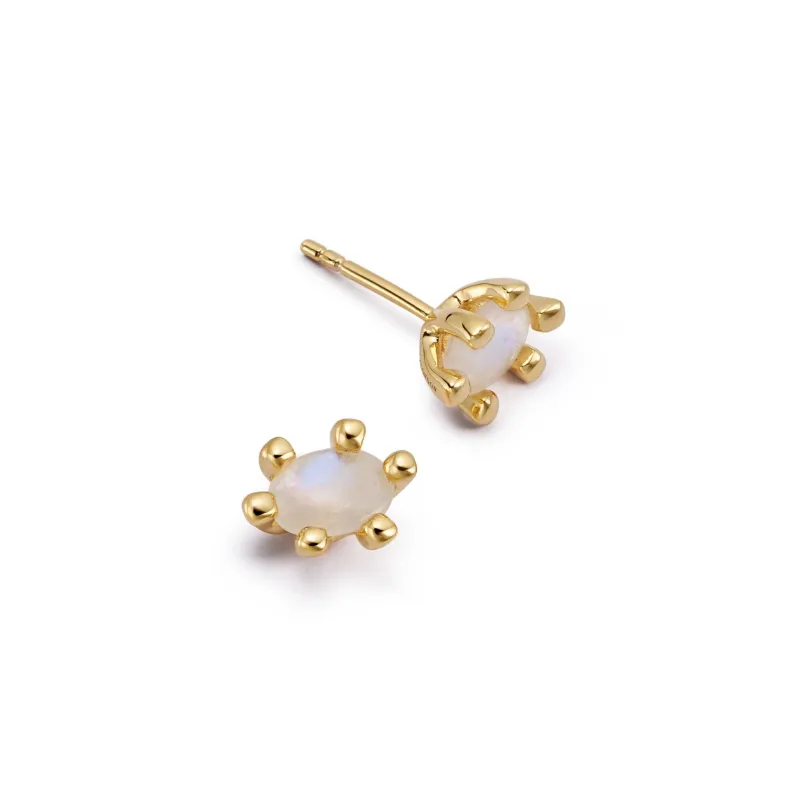 Moonstone Claw Stud Earrings 18ct Gold Plate made by Daisy Jewellery