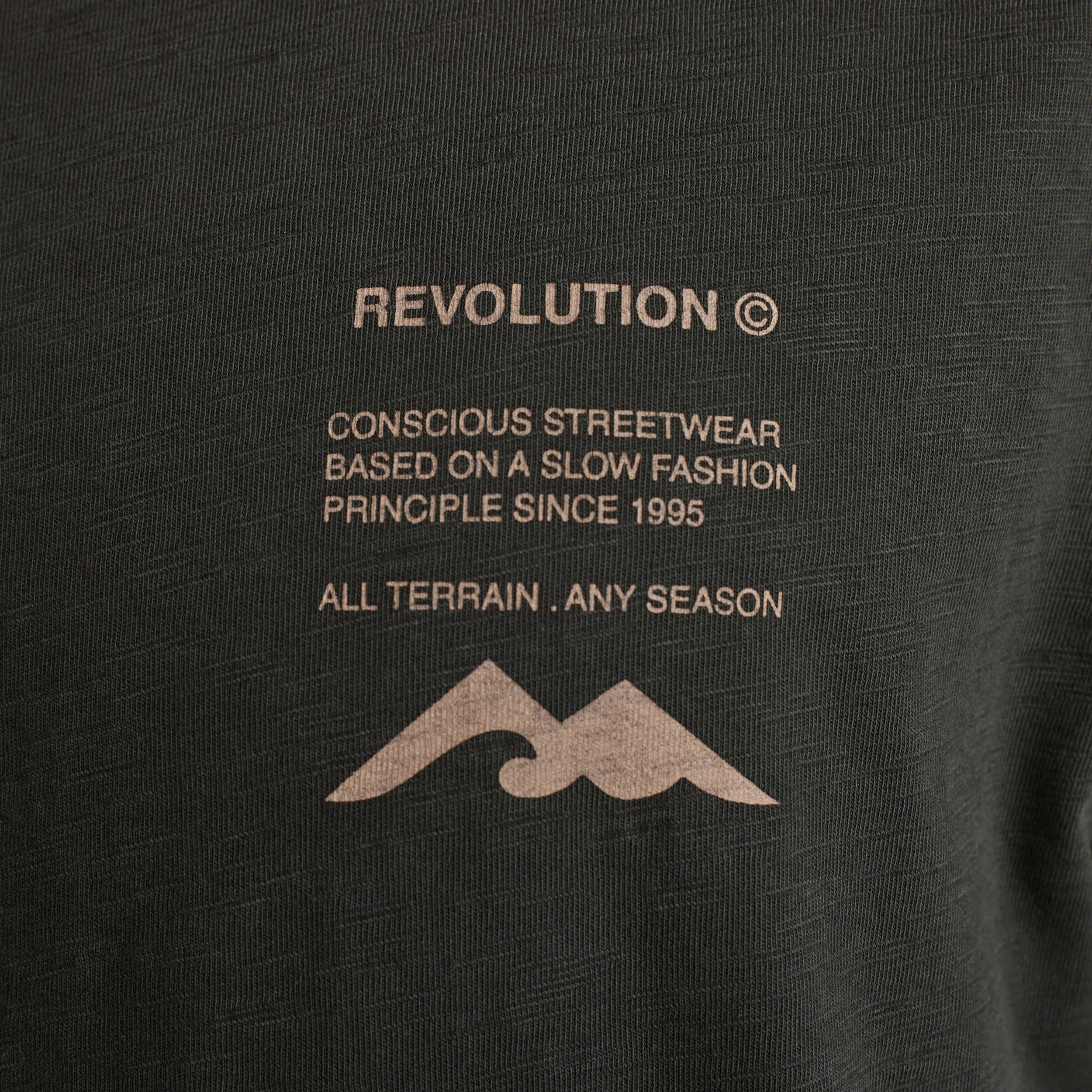 Revolution Organic Loose T-Shirt sold by Plenty product image thumbnail 4