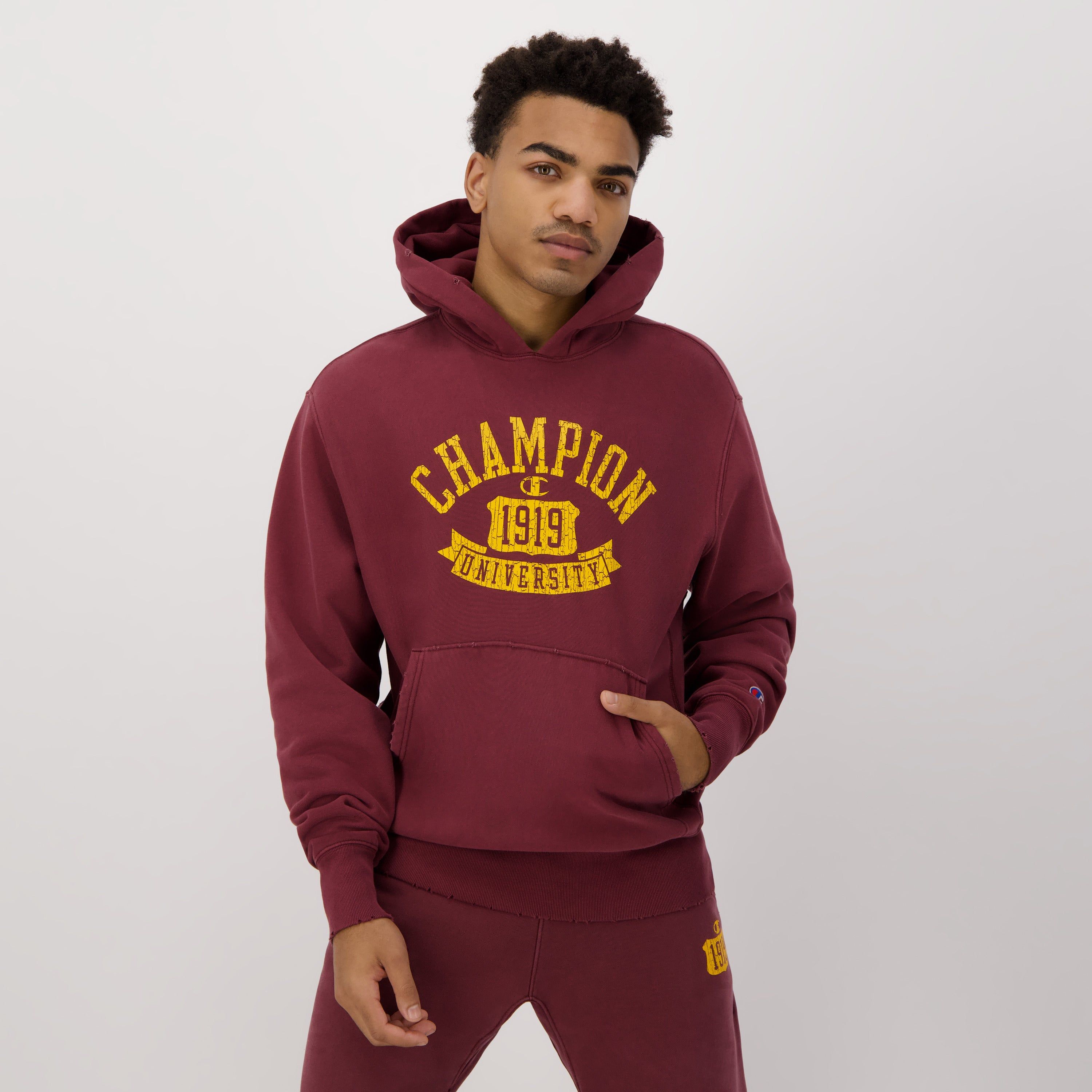 Reverse Weave Time Capsule Pullover Hoody sold by Plenty product image thumbnail 5
