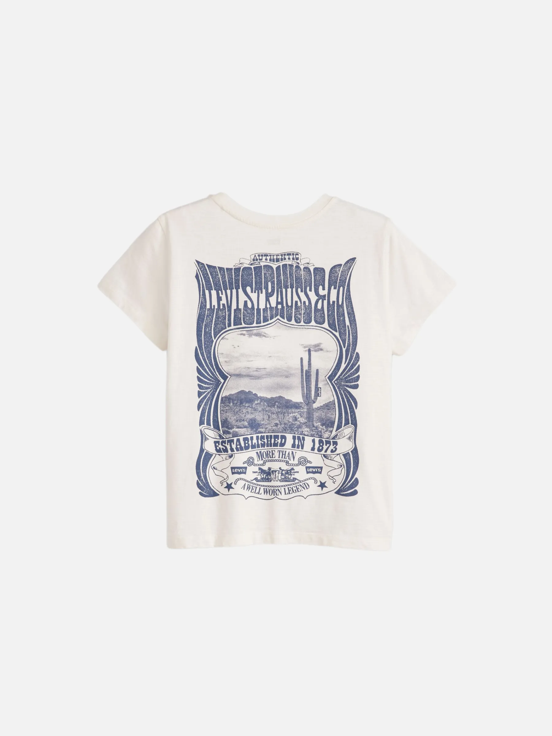 Canyon Poster Boxy T-Shirt sold by Plenty product image thumbnail 2