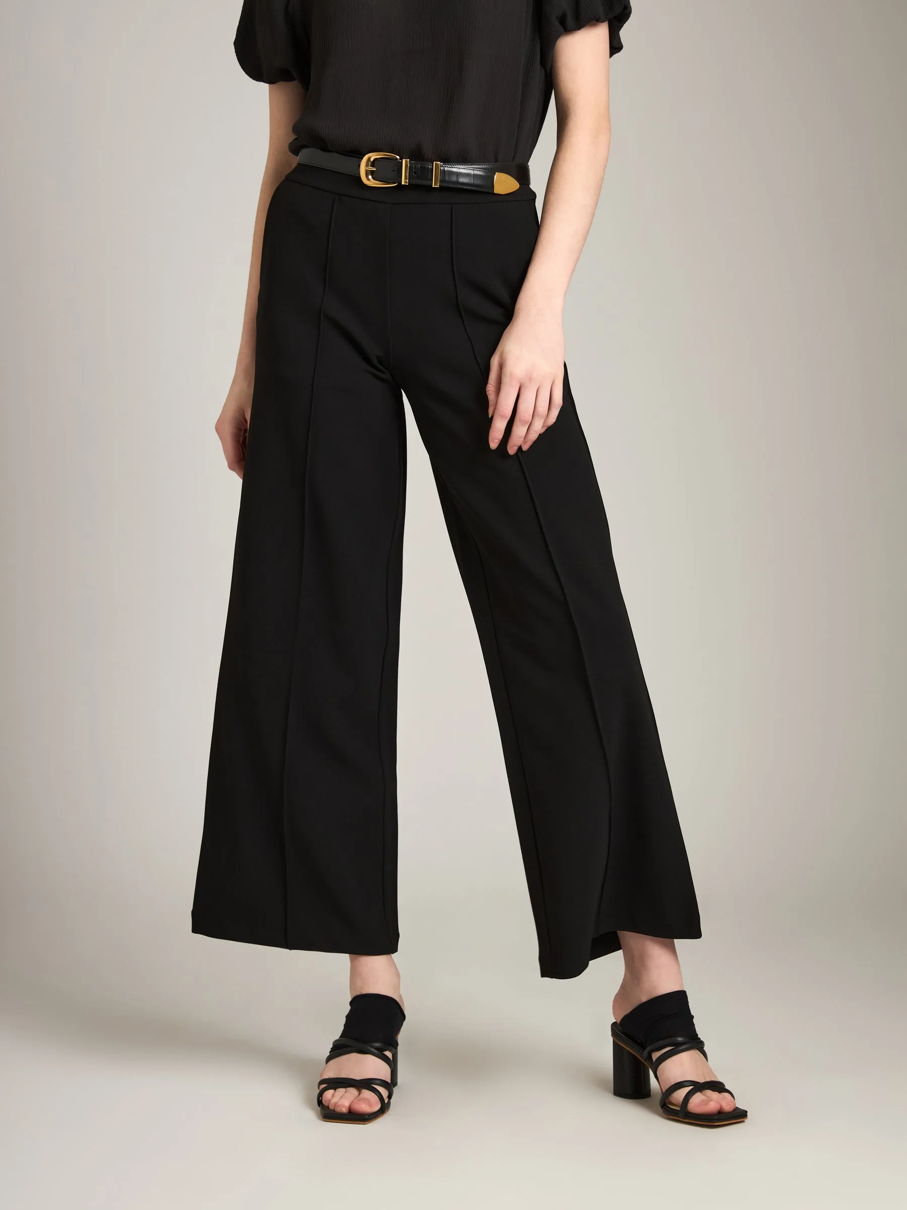 Amy Pintuck Wide Leg Pants sold by Plenty product image thumbnail 2