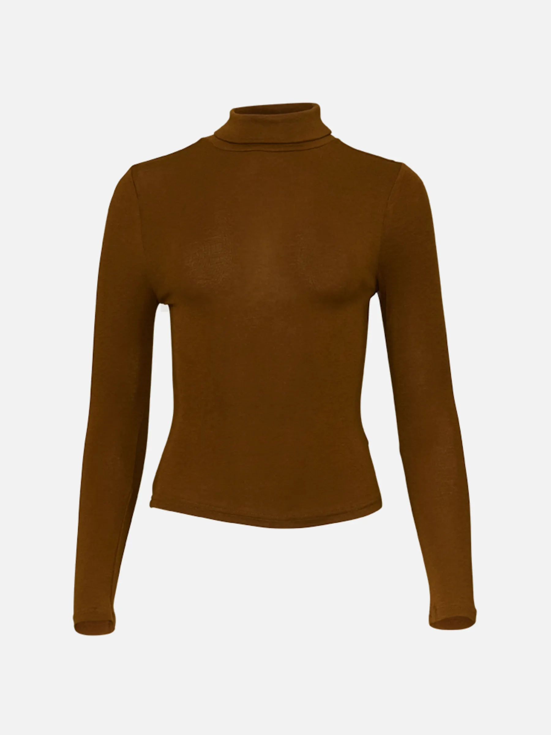 Rosa Sheer Longsleeve Turtleneck sold by Plenty product image thumbnail 5