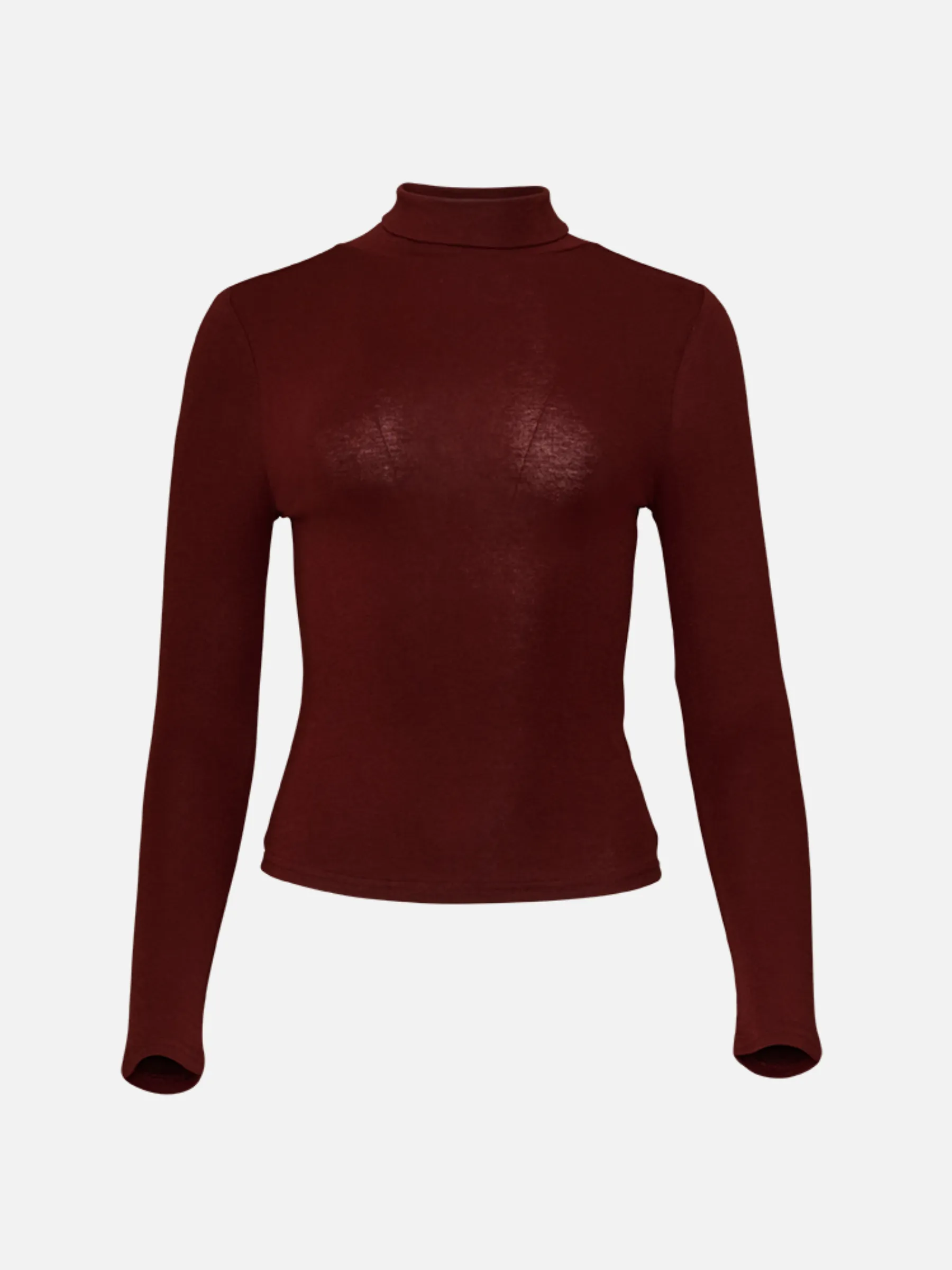 Rosa Sheer Longsleeve Turtleneck sold by Plenty product image thumbnail 4