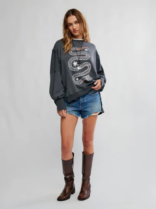 Camden Graphic Pullover Sweatshirt made by Free People