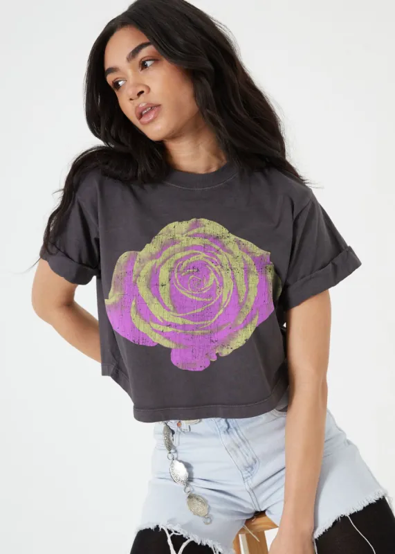 Rose Gradient Crop BF Tee sold by Plenty