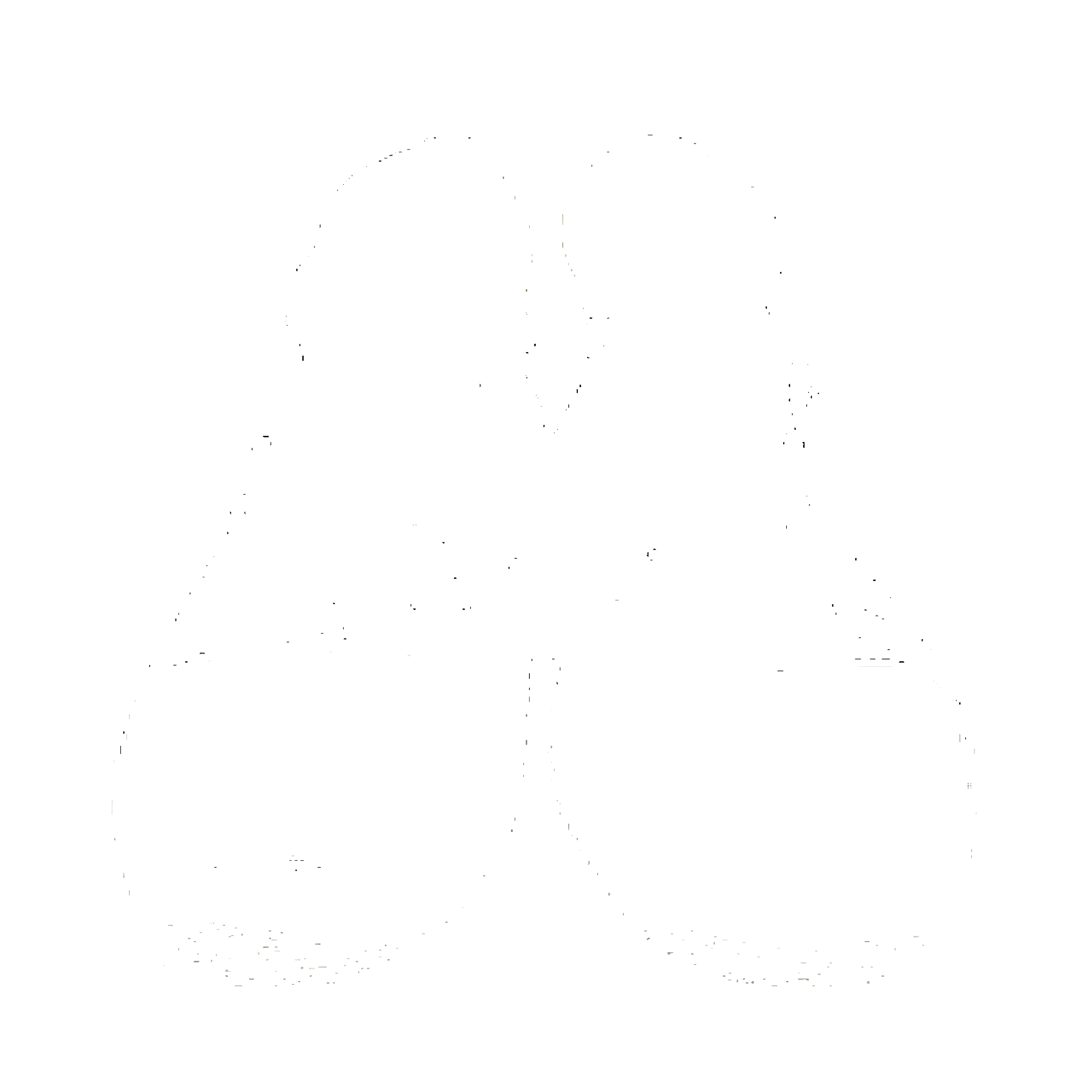 Death Threat "CTHC" Rothco Woodland Camouflage Sneakers sold by Joint Custody product image thumbnail 2