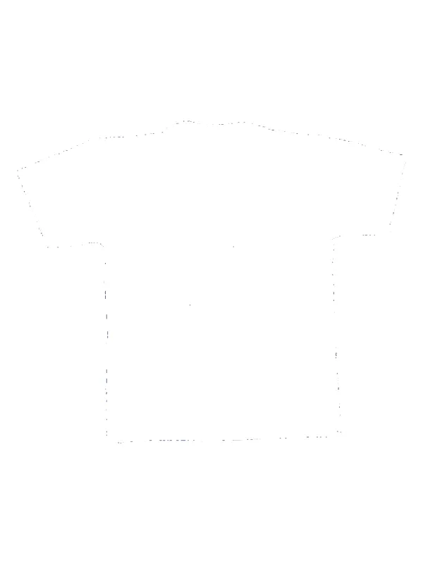 Vintage Sleater-Kinney "Cat" Shirt made by Joint Custody