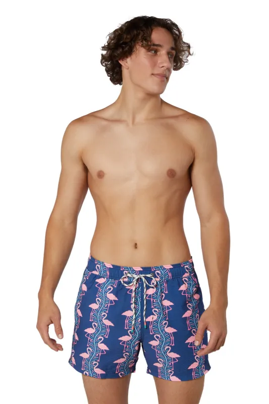 Flamingoes Swim Shorts sold by Below the Belt