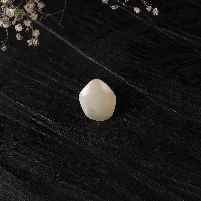 White - Handcrafted Seashell Ring (Adjustable) 14 made by Itokri