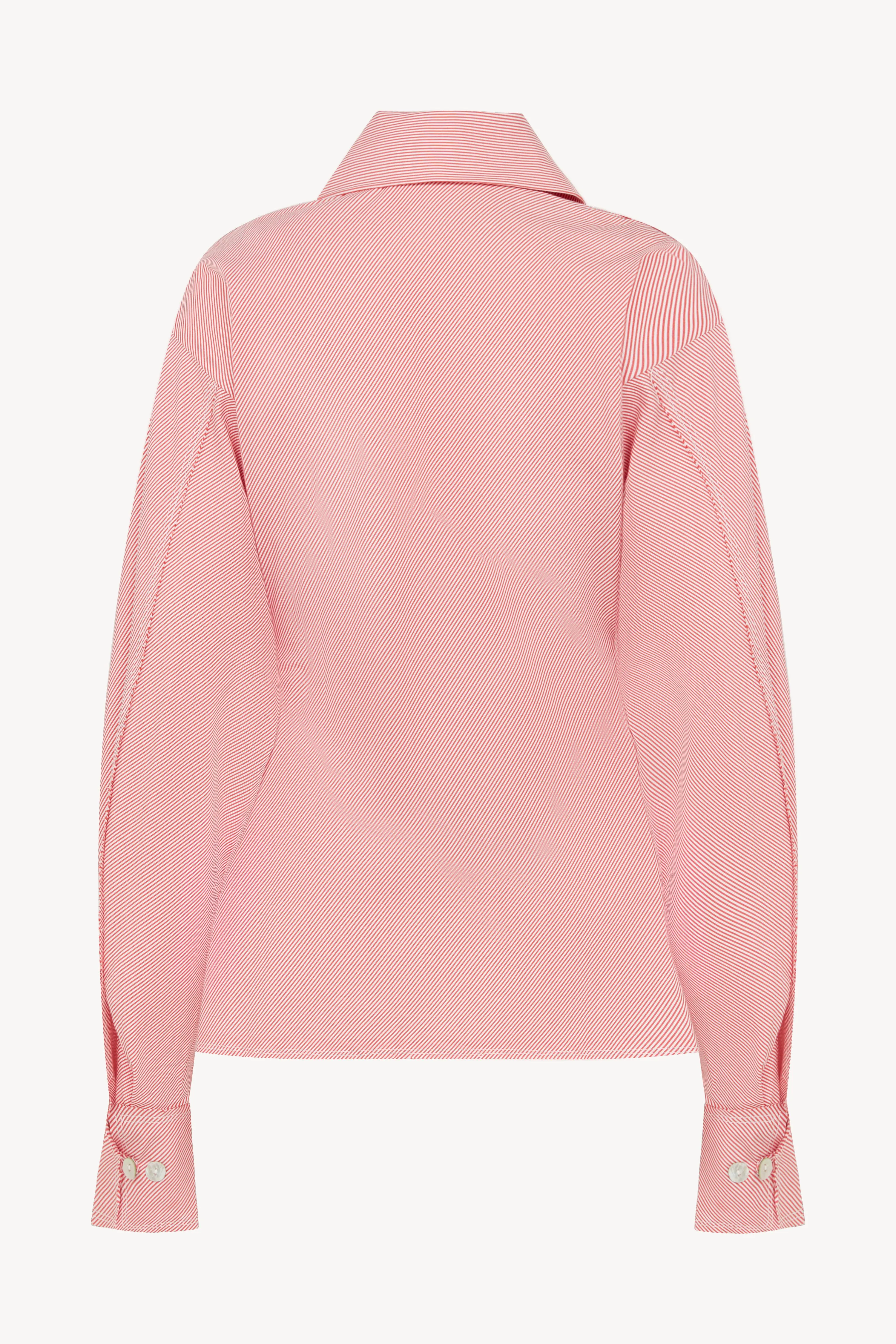 Red Stripe Pinched Waist Shirt sold by Talia Byre product image thumbnail 2