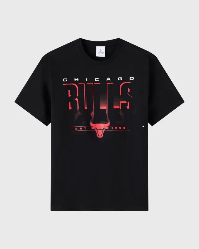 NBA Chicago Bulls T-Shirt sold by OVO