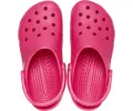 CROCS Unisex Classic Clog - Dragonfruit sold by The Foot Factory