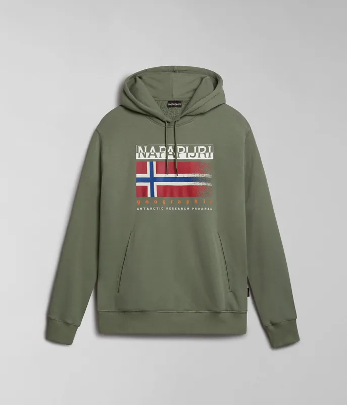 Napapijri Mens Kreis Hoodie - Green sold by The Foot Factory