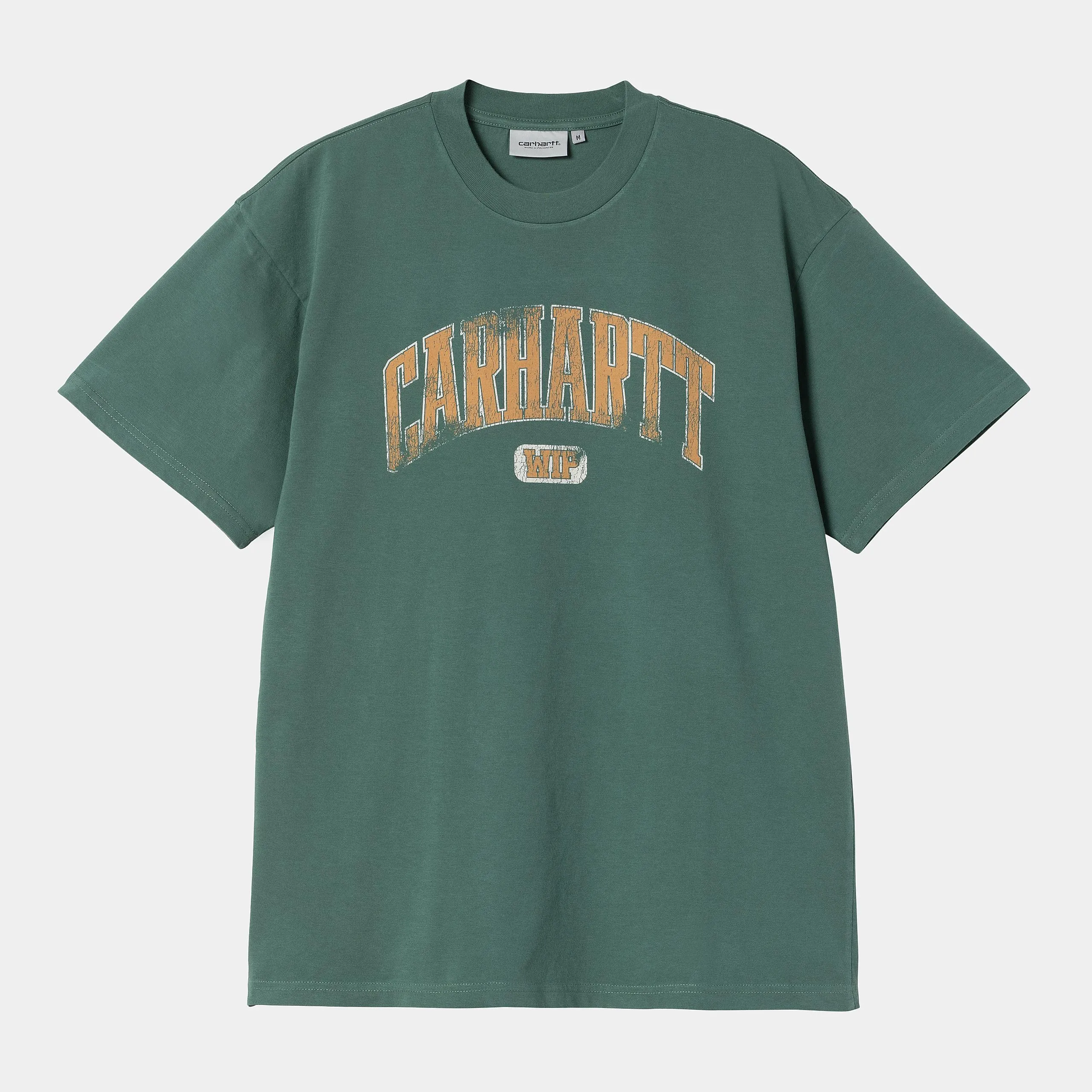 Carhartt WIP Mens Lecture T-Shirt | Silver Pine sold by The Foot Factory
