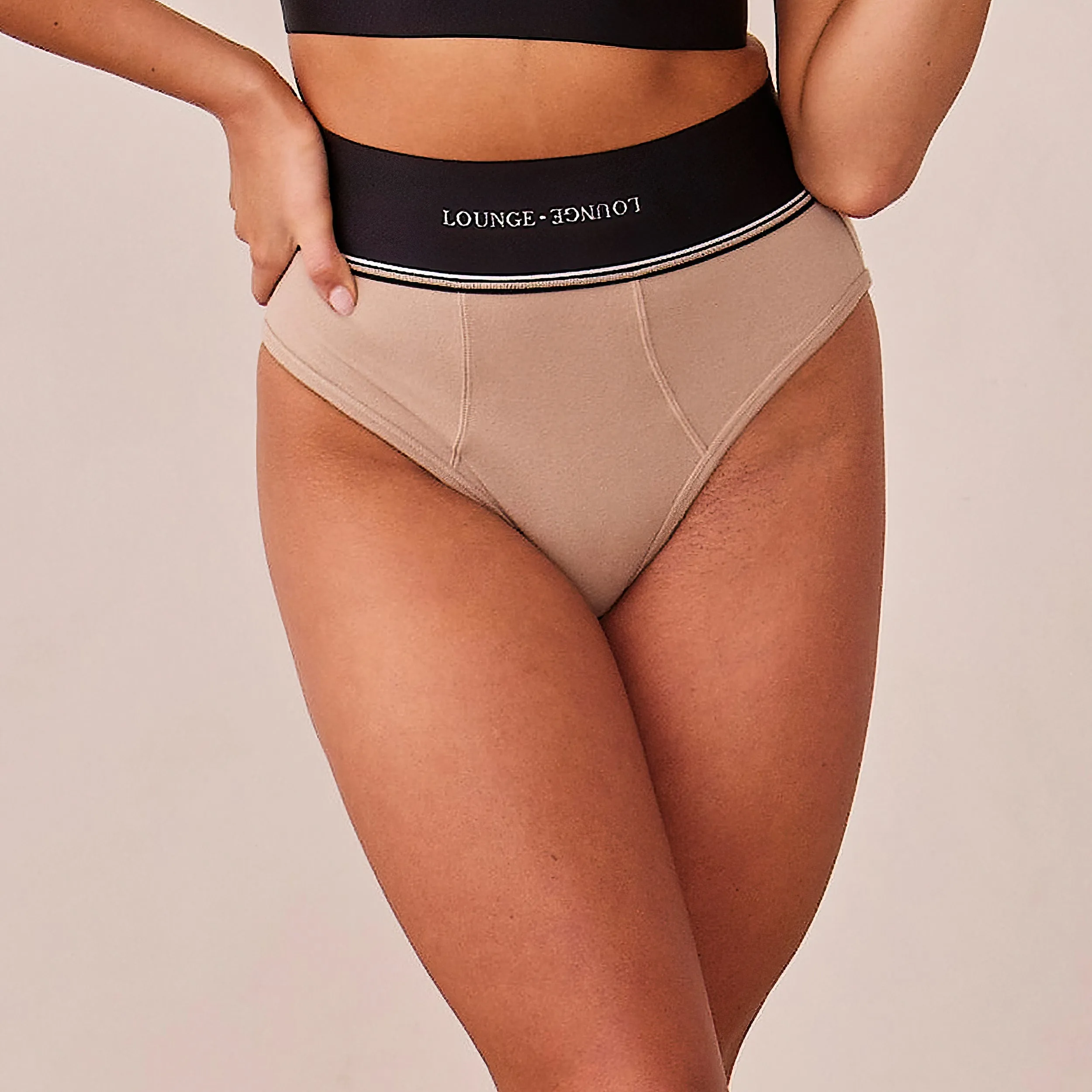 Loungerie Briefs - Mink sold by Lounge Underwear