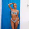 Ditzy Underwire Bra Bikini Top - Havana Heat sold by Kulani Kinis