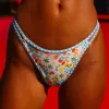 Twin Strap Cheeky Bikini Bottom - Suncatcher sold by Kulani Kinis