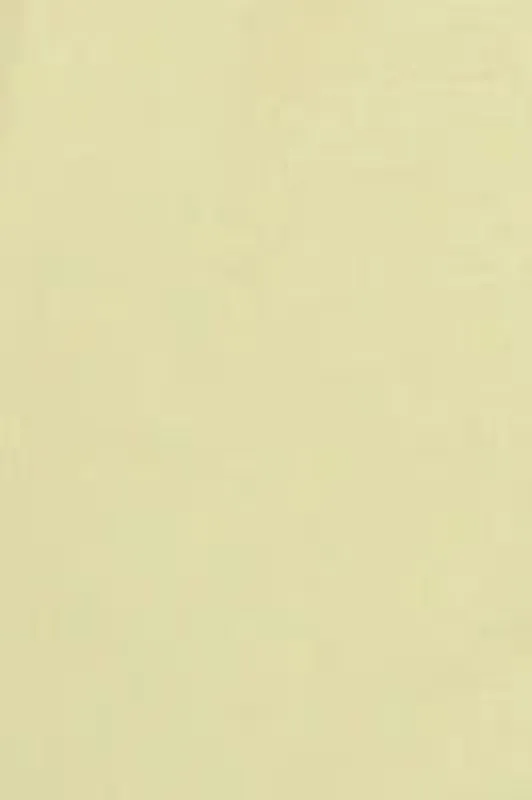 Jungmaven | Cropped Lorel Tee - Sunbleached Yellow sold by Fort