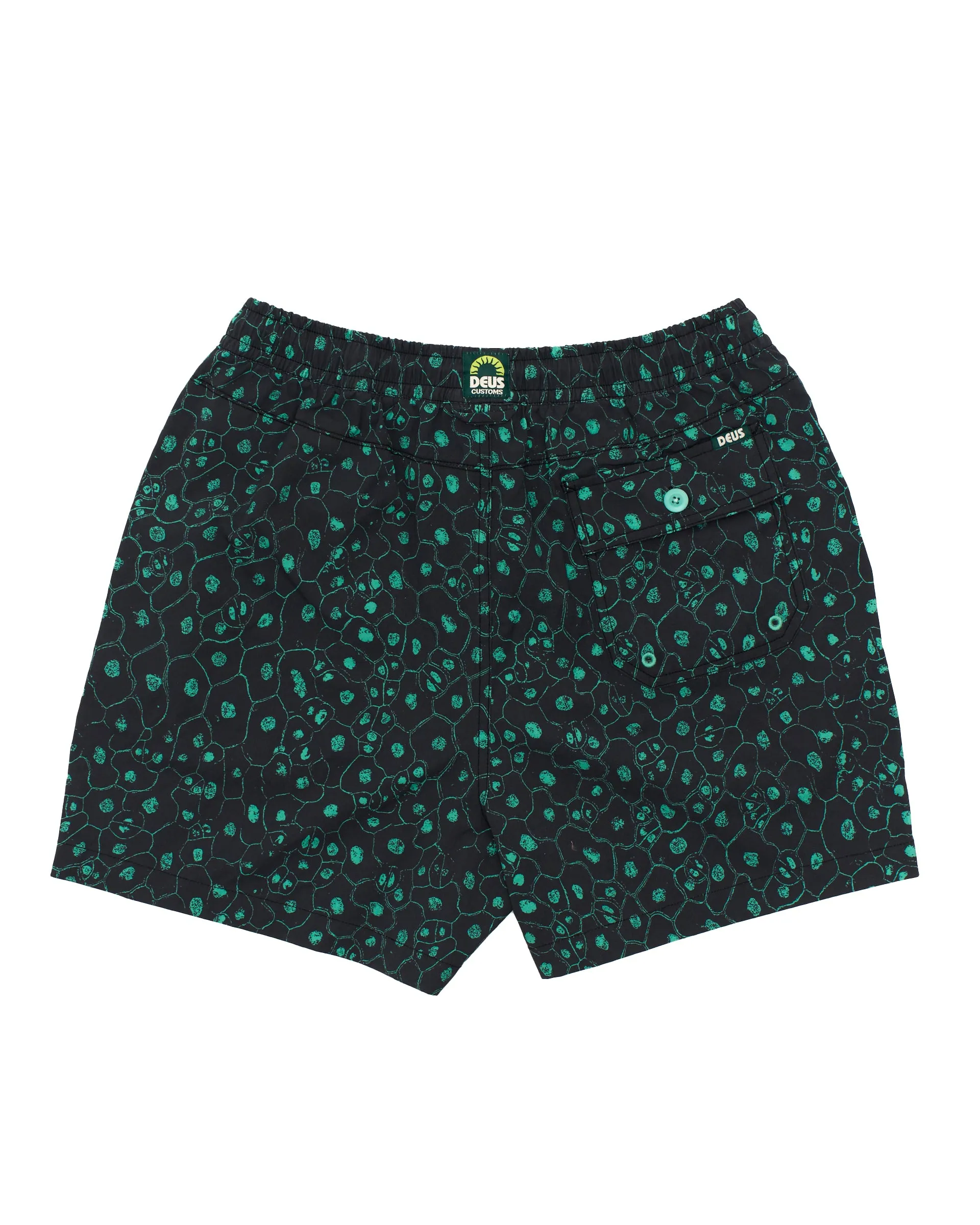 Plant Cell Boardshort - Biscay Green sold by Deus Ex Machina product image thumbnail 4