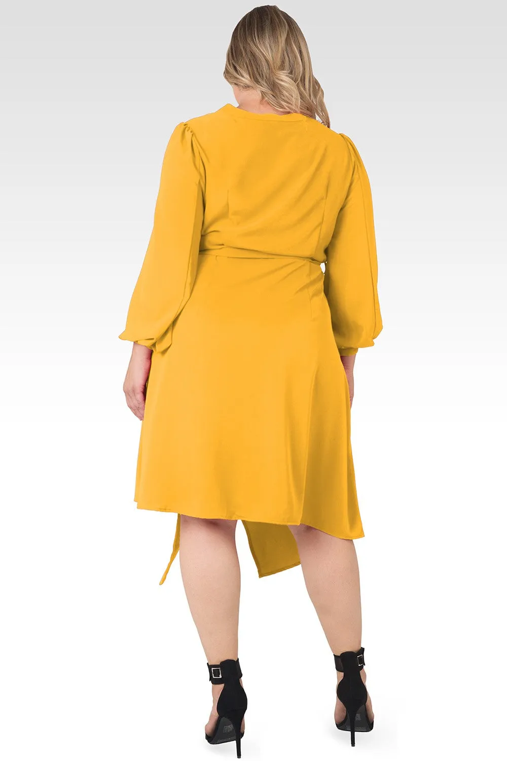 Plus Size Natalia Solid Button-Up Wrap Lantern Sleeve Dress - Ginger sold by Standards and Practices product image thumbnail 2
