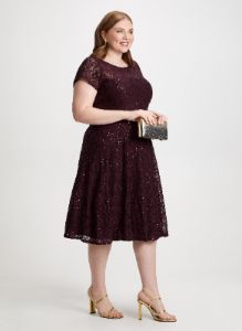 Sequin Embellished Lace Dress sold by Laura