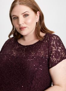 Sequin Embellished Lace Dress sold by Laura