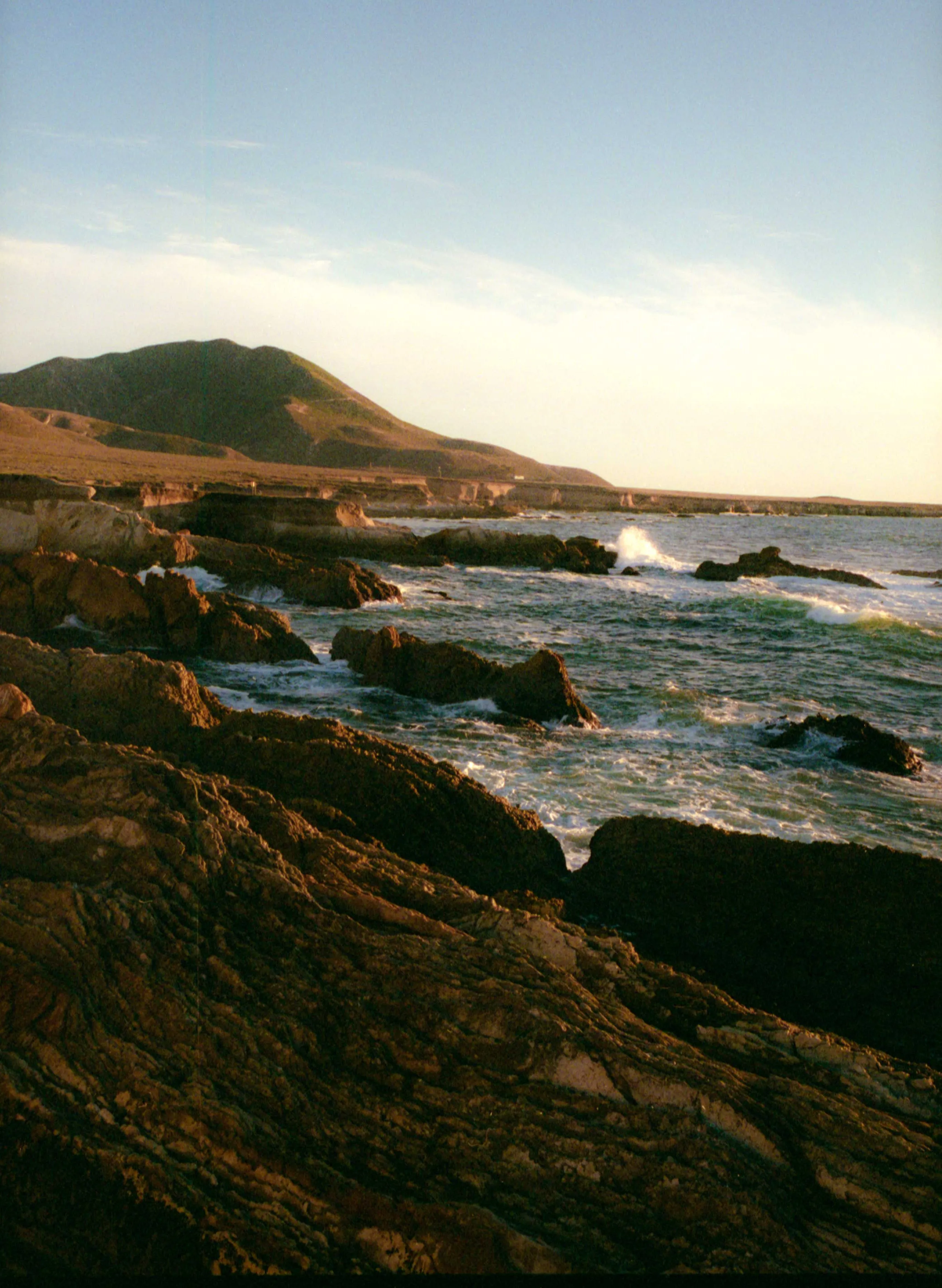 i+w oasis rose bandana sold by Imogene + Willie product image thumbnail 5