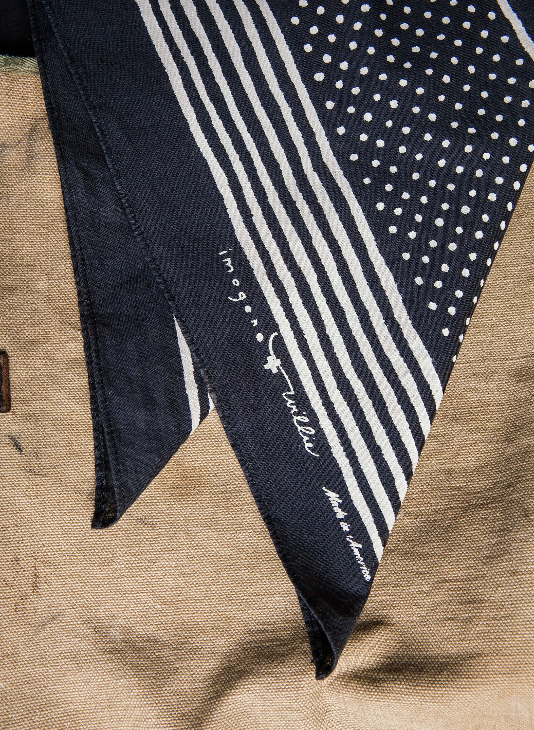 i+w vintage black bandana v2 sold by Imogene + Willie product image thumbnail 5