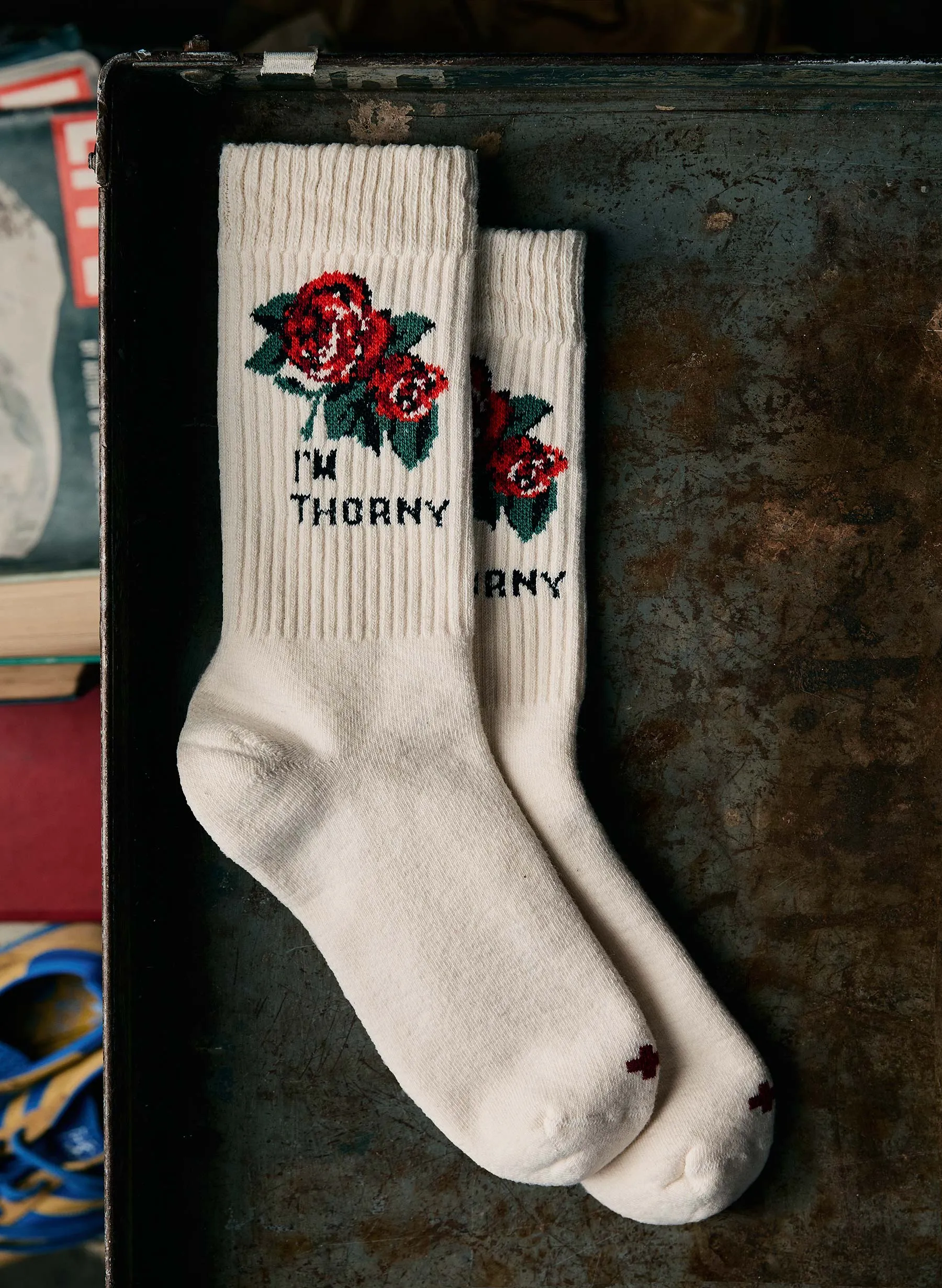the "thorny" sock sold by Imogene + Willie