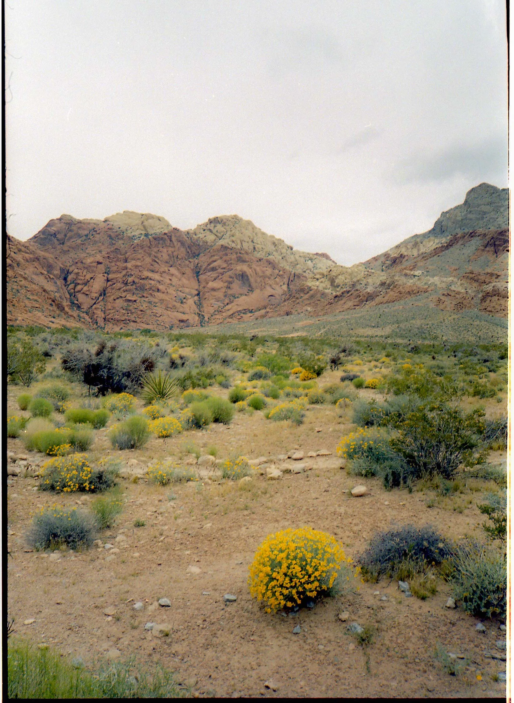 the cut sleeve sweatshirt in natural sold by Imogene + Willie product image thumbnail 5