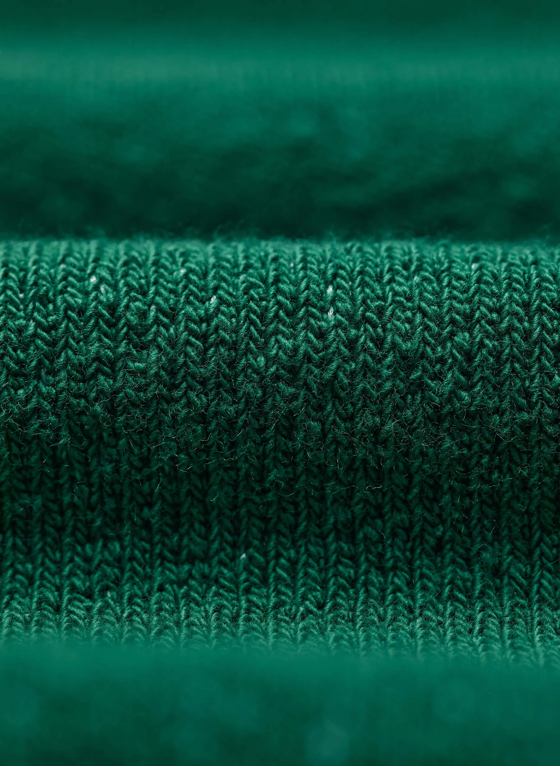 the cut sleeve sweatshirt in fern sold by Imogene + Willie product image thumbnail 5