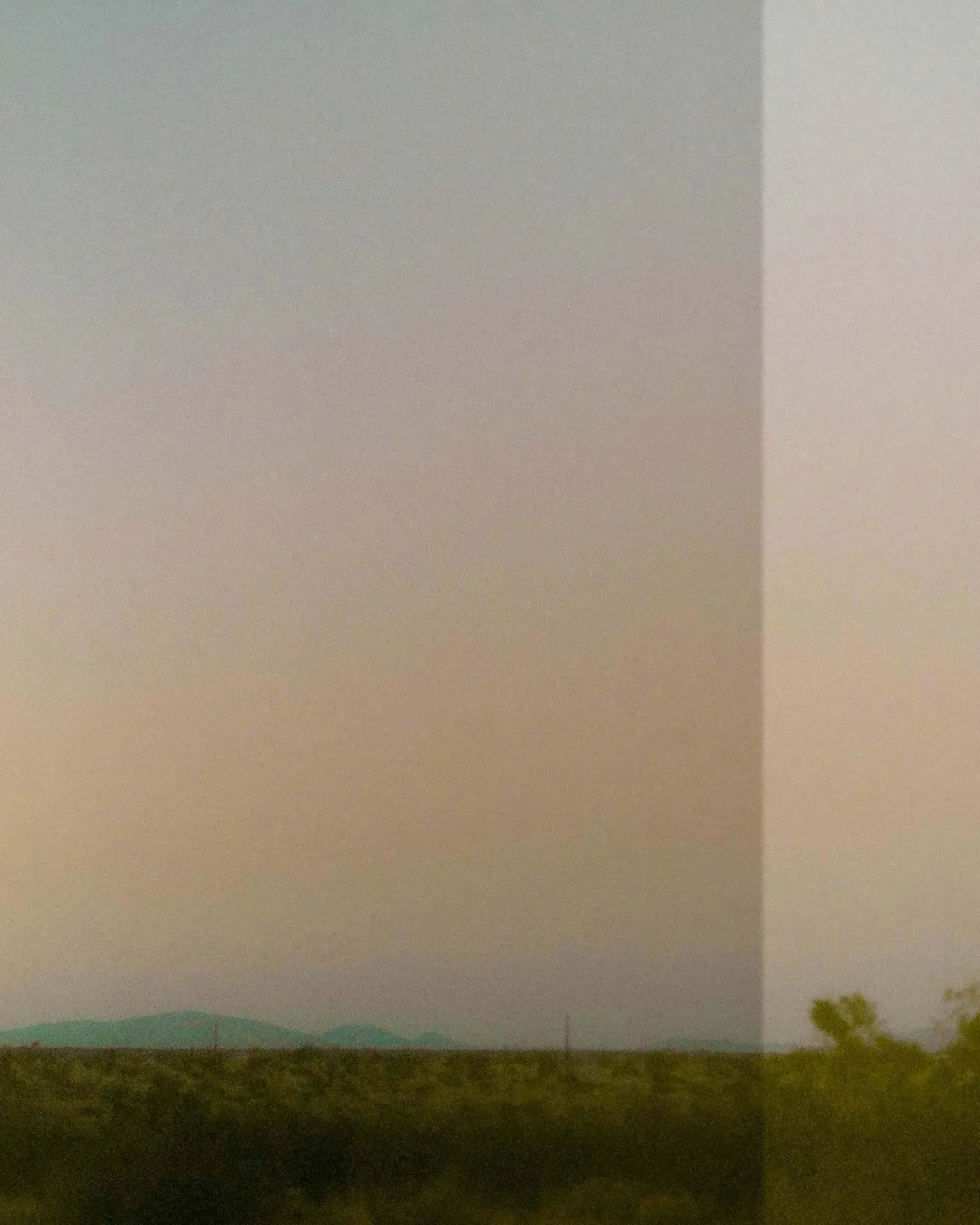 henry black rigid jp sold by Imogene + Willie product image thumbnail 5