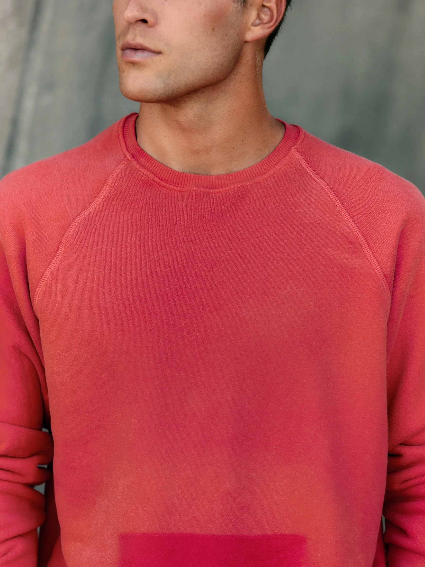 the old school crew in faded red sold by Imogene + Willie product image thumbnail 5