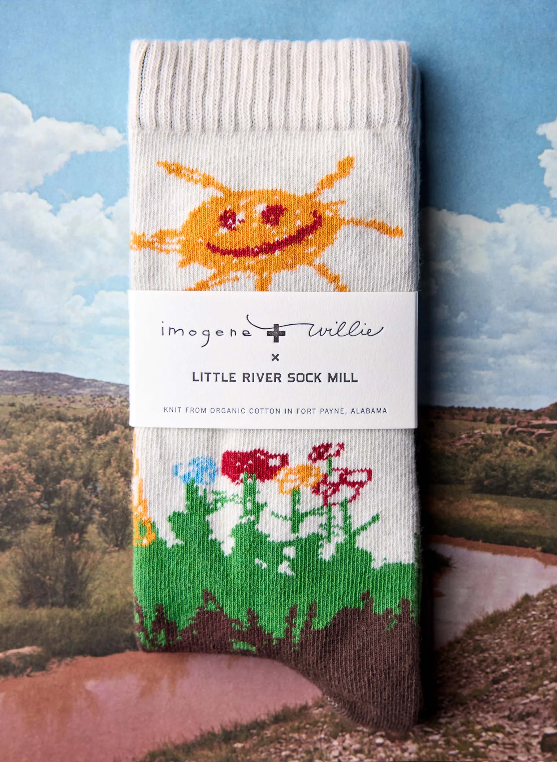 the "home sweet home" sock sold by Imogene + Willie product image thumbnail 2