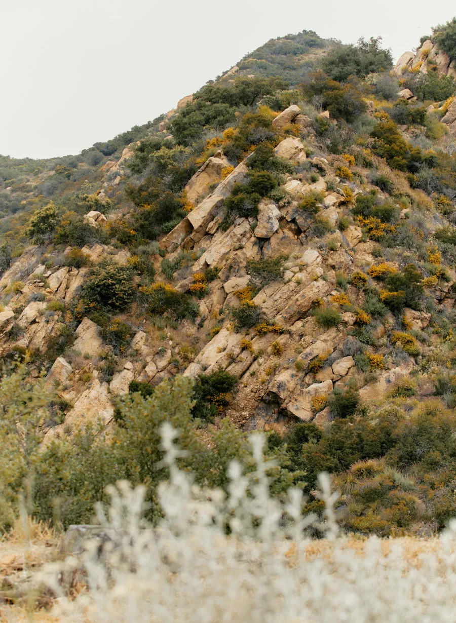 blake military trouser in washed black sold by Imogene + Willie product image thumbnail 5