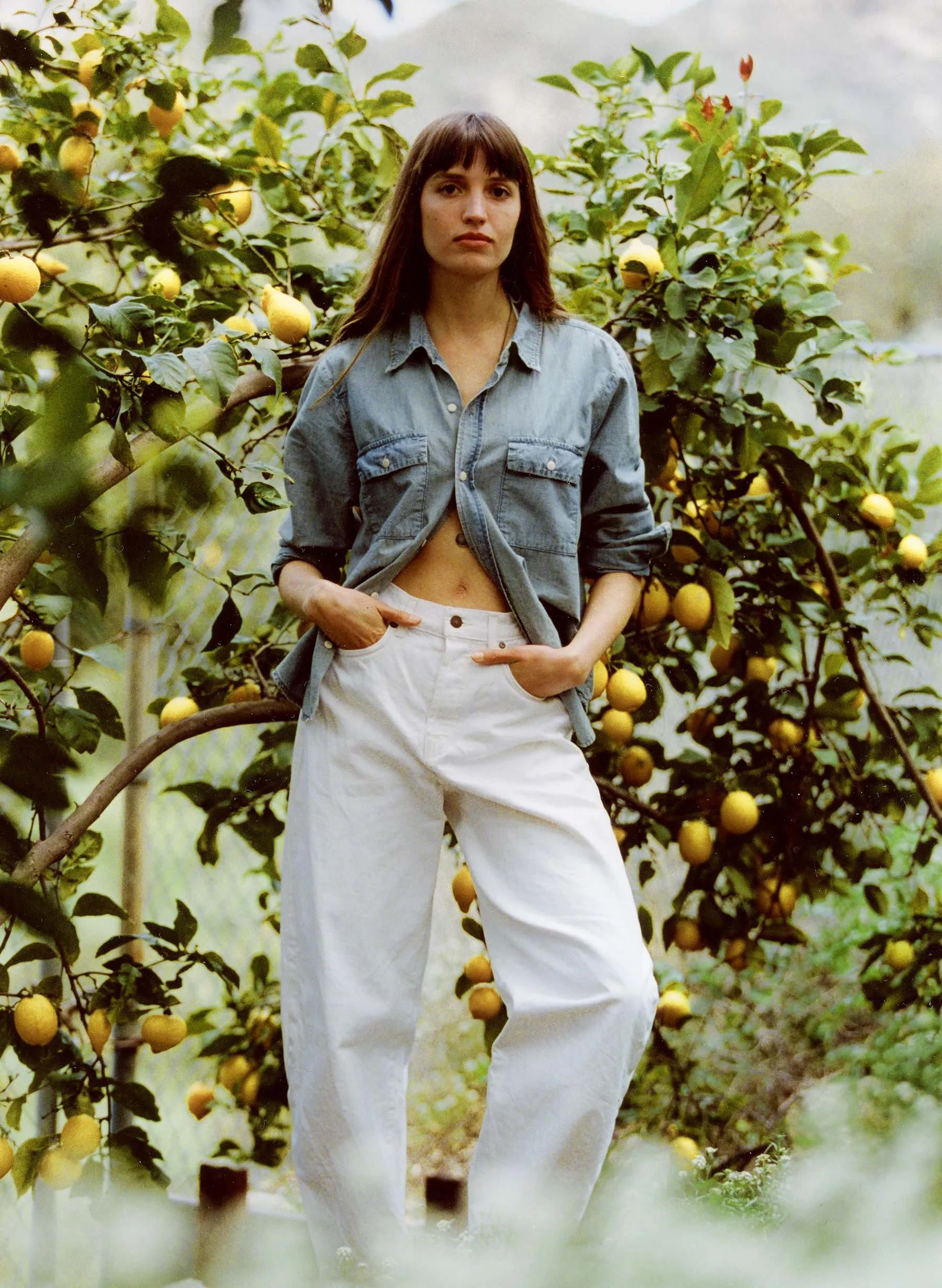 elsie white sold by Imogene + Willie product image thumbnail 5