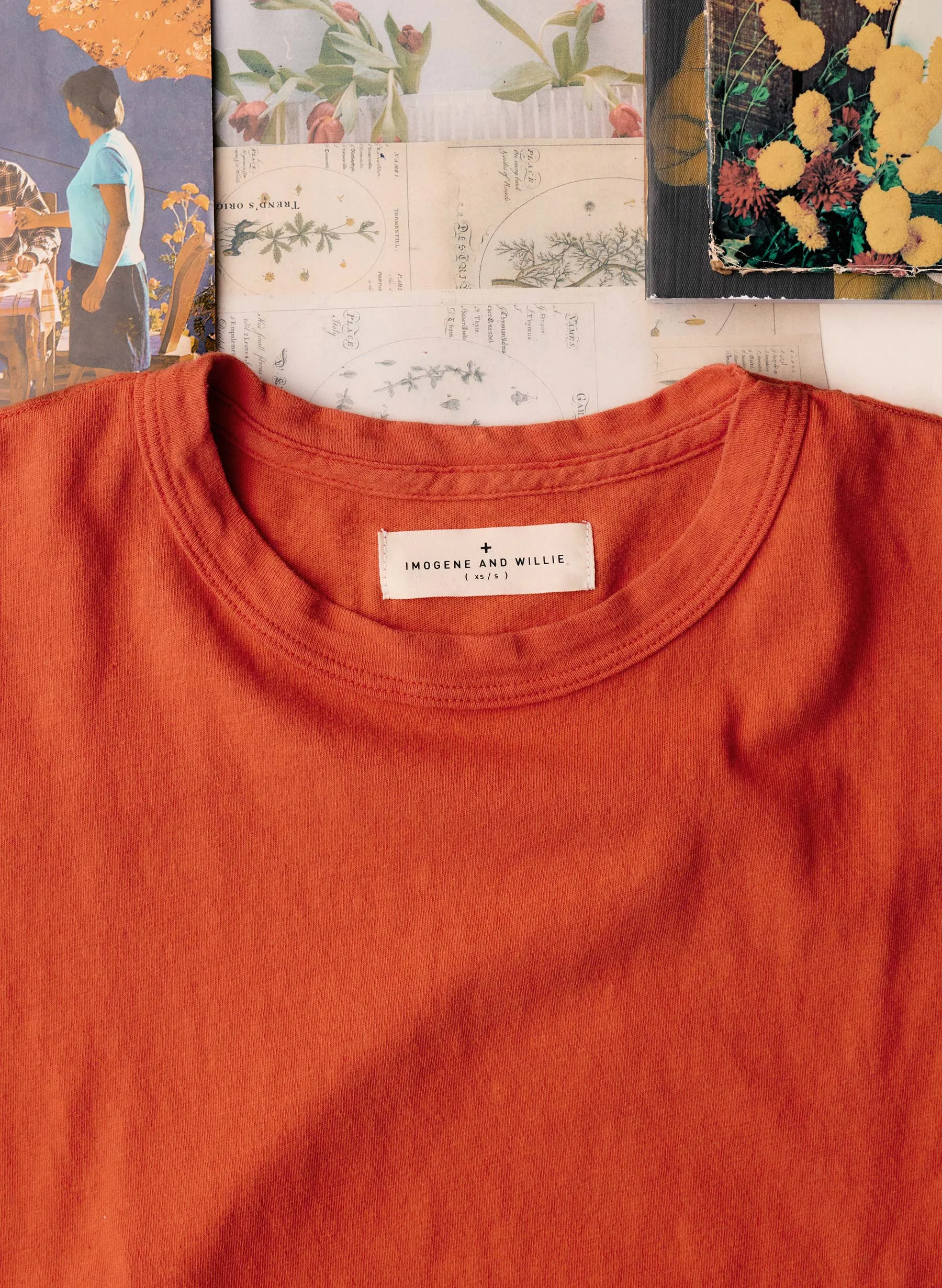 drop tee in poppy sold by Imogene + Willie product image thumbnail 4