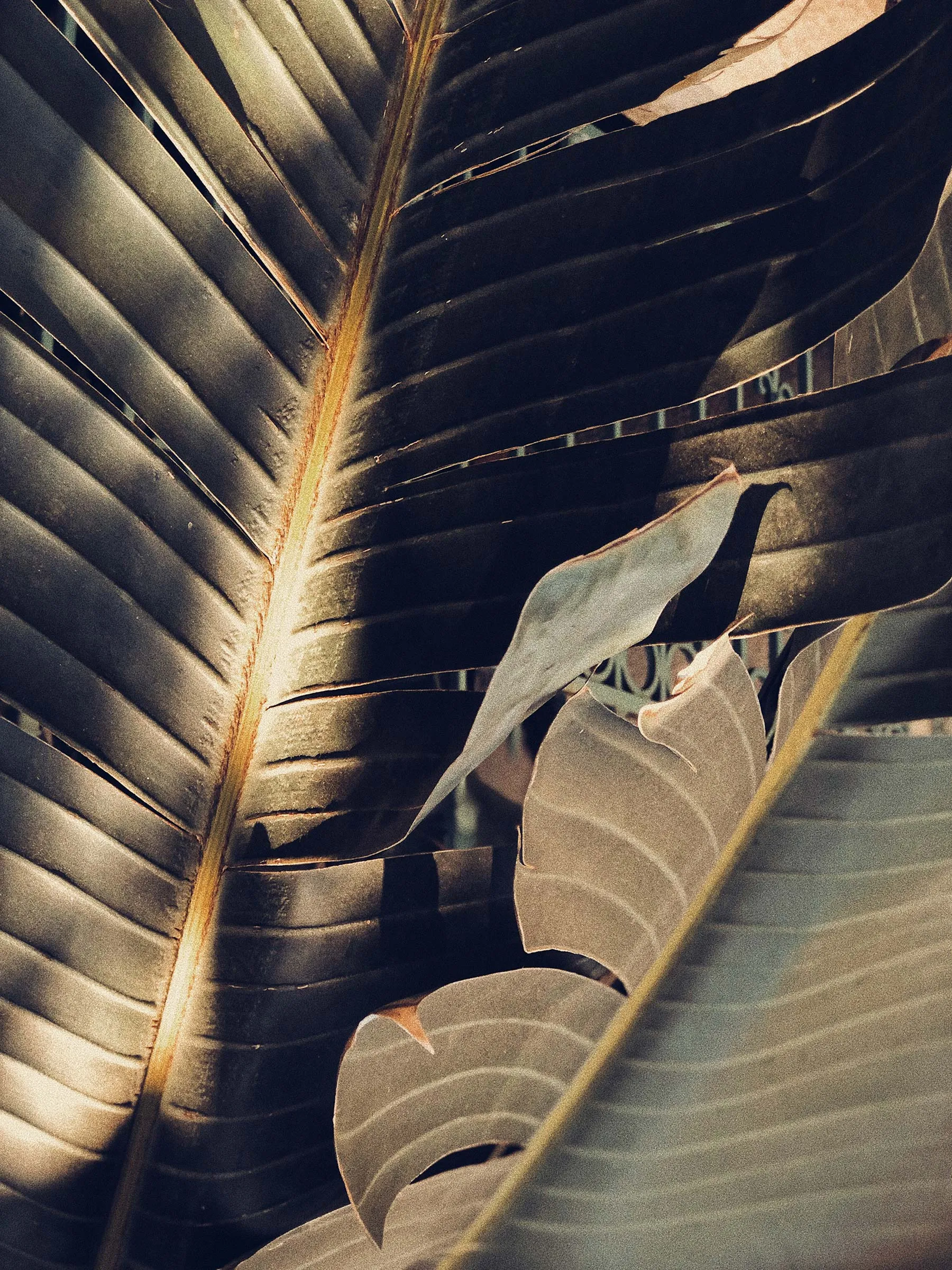 agnes jacket in woven indigo sold by Imogene + Willie product image thumbnail 5