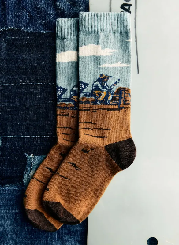 said and done sock in bronze sold by Imogene + Willie