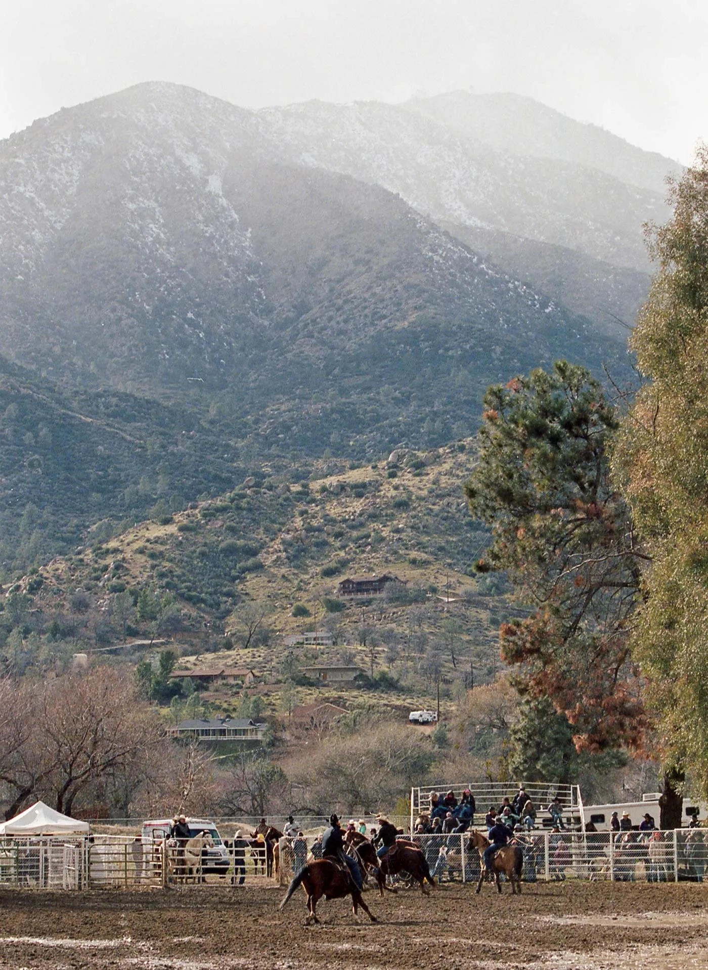 said and done sock in bronze sold by Imogene + Willie product image thumbnail 5